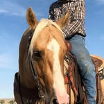 Jay Shaw - @jayshaw3914 - Instagram
