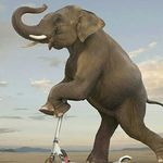 Jay Sitapara - @jay.sitapara.370 - Instagram