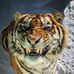 Jay Skinner - Facebook