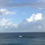 JAY SLACK - @jay.likes.swimming - Instagram