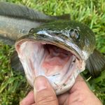 Jay Slay - @jay_slay_fishing - Instagram