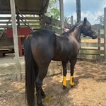 🔱Jay Dusk Solano🐴 - @jay_dusk_solano - Instagram