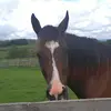 jayspicer8 - @jayspicer8 - TikTok