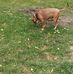 Jay Sprague - Facebook