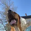 Jayden Sprague - @jaydensprague1 - TikTok