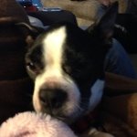 Tonka Jay Sprague - @tonka_jay - Instagram