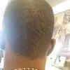 Jay Stanford - @jay.stanford - TikTok