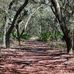 Jay B Starkey Wilderness Park - Facebook