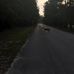Jay B Starkey Wilderness Park - Facebook