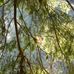 Jay Kelly Straub - Facebook