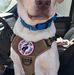 Jay Straub - Facebook