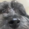 Jay street - @user6081166079660 - TikTok