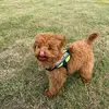 Jay Streeter - @jay.streeter1 - TikTok
