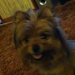 Jay Stringfellow - Facebook