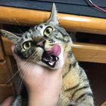 聖傑 - @strom_jay - Instagram