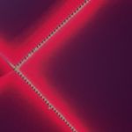 Jayla_sturgeon - @jayla_sturgeon08 - Instagram