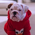 Theodore Jay Enriquez - @theodore_jay_life - Instagram