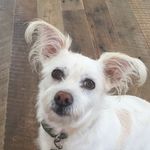 Jay Thorson - @jaytho6614 - Instagram