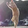 Jay Tom - @jay.tom30 - TikTok