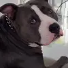 jaytom - @jaytomoyomolo - TikTok