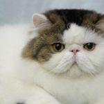 Jay Tsai - @jay.tsai.9210 - Instagram