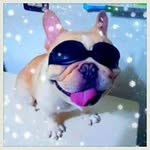 Jay Tsai - @ca118850 - Instagram