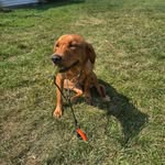Jay Voss - @jay.voss.90 - Instagram