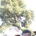 Jay Waiti - Facebook