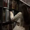 Jayy 🎀 - @jaywal._.2 - TikTok