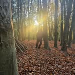 Jay WaLk - @jaywalkdj - Instagram
