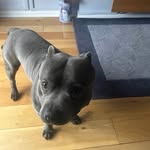Jay Waller - @wally_from__malton - Instagram