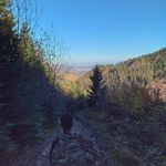 Jay Waltu - @jaywaltz23 - Instagram