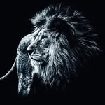 Jay Wander - @jaywanderingpuzzle - Instagram