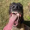 JJ - @jaylan.warford - TikTok