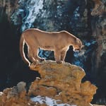 Jay Waring - @waring.jay - Instagram