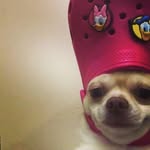 Jay_Waring - @jay_waring7 - Instagram