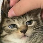 Jay Warner - @jay._.warner - Instagram