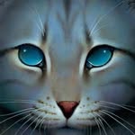 Jay_warriorcats - @lgdc_85 - Instagram