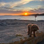 Jay Warwick - @twigyer - Instagram