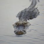 Jay web - @doughpro1937 - Instagram