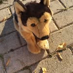 Jaykinz - @jaywebkinz - Instagram