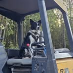 Jay Woehrle - Facebook
