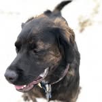 jason weidner - @jayweidner - Instagram