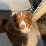 @jayden_weidner.6 - Instagram
