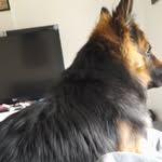 jay weir - @bigjayboi - Instagram