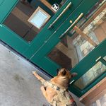 Jay Weir - @jweir5599 - Instagram