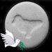 Jay Wellington - Facebook