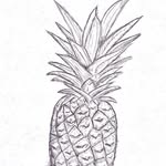 jay - @jaywelpst24968 - Instagram
