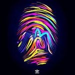 Joe Wentzell - @jay_wentzell - Instagram