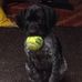 Jason Wetherbee - Facebook